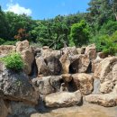 주식회사 하양 이미지