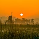 소래습지생태공원 이미지