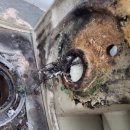 소보면 화장실 이미지