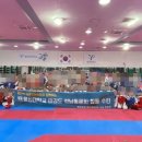 용인대용마태권도 이미지