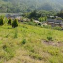 섬진강공인중개사사무소 이미지