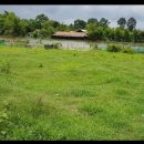 동독국립대학교후문 땅 매매 (5.500제곱미터)합니다. 이미지