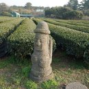 초록마을제주 - 서귀포시 영어도시로 61 | 초록마을제주