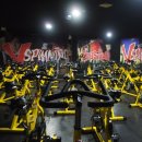 비너스짐 이미지