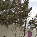 인영상사 이미지