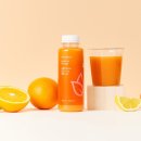 (주)올가니카 이미지