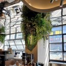 서초중앙로24길 41 이미지