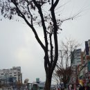 시네마헤어샵 이미지