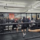 용인대SM복싱클럽 길동점 이미지