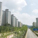 강남-260 이미지