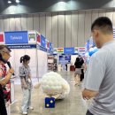 해울라이프 | [KITS] 대한민국 국제 관광 박람회 라이트업 서포터즈 9기_ 박람회 현장 후기