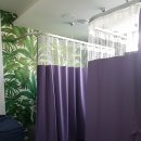 씨에스나무병원 이미지