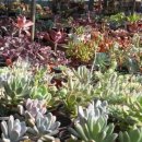 분토농장 이미지