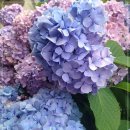 구미 다온숲화장실 이미지