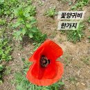 5월9일(목) 남양주시 북한강변 물의 정원에서 이미지