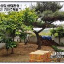 소로3-287 이미지