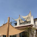 그린키친 | 강화도 나들이: 초록빛 감성 뷔페 '그린홀리데이 키친' 내돈내산 후기 (주차/메뉴)