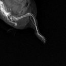 여울동물병원 이미지