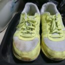 하얀기쁨 이미지