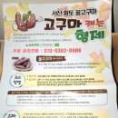 농라에프 나도 CREATOR - 고구마캐는형제 '꿀고구마' 구매 후기