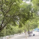 도천길 | 영월 요기는캠핑장 해 사이트