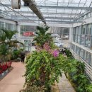 성호공원_식물원주변 이미지