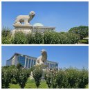 국회도서관~~보고 느끼고 즐기다 (&#39;25년 8월 12일) 이미지