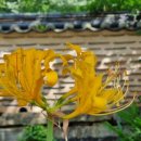 중리체육공원 이미지