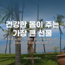 (주)웰러스 | 성신여대 필라테스, 몸은 거짓말하지 않는다. 웰러스의 기록 관리가 만든 진짜 변화