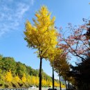 기흥로L-4 이미지