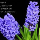굿모닝플라워주