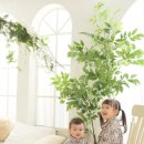 내손으로 만드는 우리옷 이미지