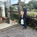 커피이지스 이미지