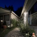 시작에머물다 이미지