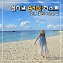플로이츠 - 중구 광복로43번길 16 | 몰디브 준비물 리스트 신혼여행 추천 템 VS 비추천 템