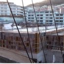 범일초등학교1 Daum카페