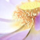 6786, 각각존재들의 빛을 보면서.. 이미지