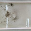 으뜸크리닝 이미지