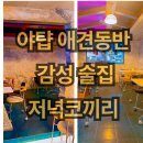 야탑 반려견 | 야탑역 애견동반 술집 추천🐶 저녁코끼리 솔직 후기(영업시간/메뉴/포토존)