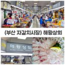 단골상회 | 부산 자갈치시장 회 맛집 해왕상회 생활의달인 단골 돔회 후기