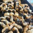 군산장어 이미지