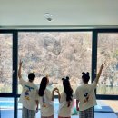 홍천단아독채펜션 | 강원도 홍천풀빌라 산하연 홍천 독채 펜션 후기