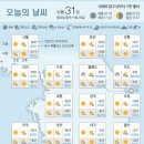 12 중앙일보