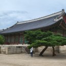 일화씽크 이미지