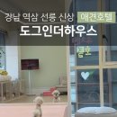 도그니엘 | 강남 애견호텔 도그인더하우스 호텔링 솔직후기