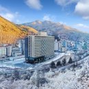 정선인투라온호텔 이미지