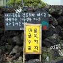 세바의 오두막 | 제주 카페 추천 따뜻함이 머물고 간 곳 카페 세바