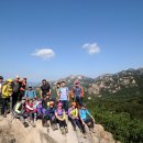 보미목장 이미지