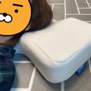 나무안에서 | 편백나무베개 개망 후기ㅜㅜ(ft.안낚이는법)