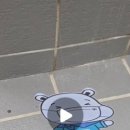 압구정함소아 이미지